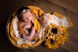 maternity photographer in rochester ny captures baby girl sleeping with sunflowers