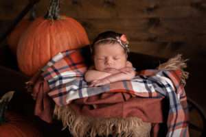 newborn photographer in rochester ny captures newborn baby girl sleeping in a wagon with pumpkins