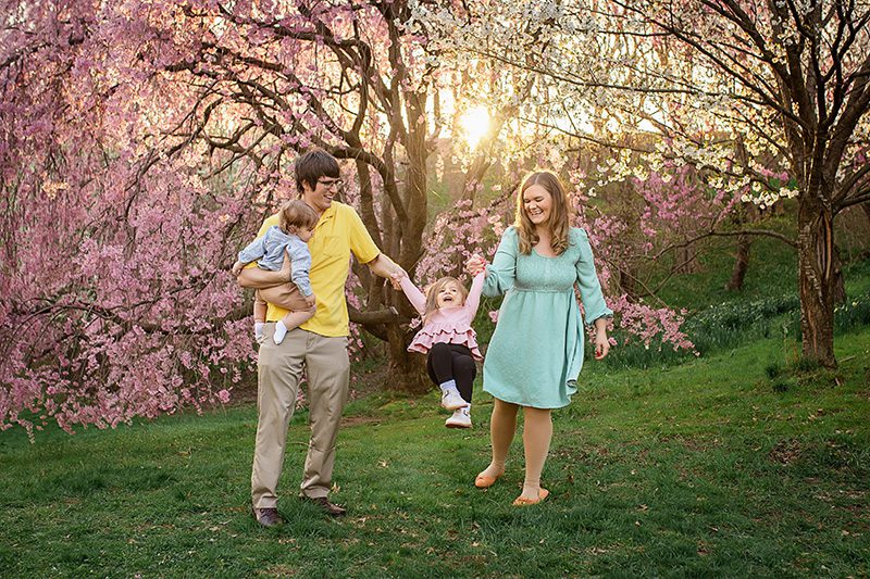 family photographer in rochester ny captures family walking through the cherry trees in highland park at sunset